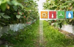 Цифровизация в сельском хозяйстве: технологические и экономические барьеры в России Цифровая экономика в сельском хозяйстве статья